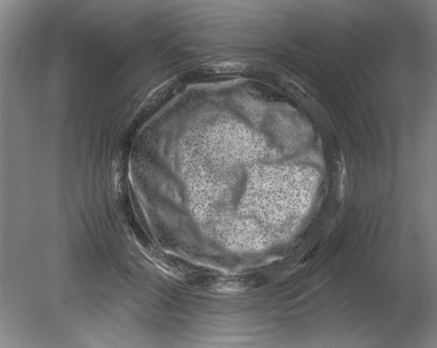 X0000080710604200701021030