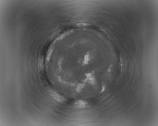 X0000080710610200701021030