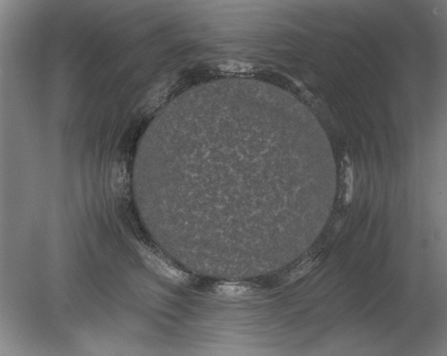 X0000080710614200701021030