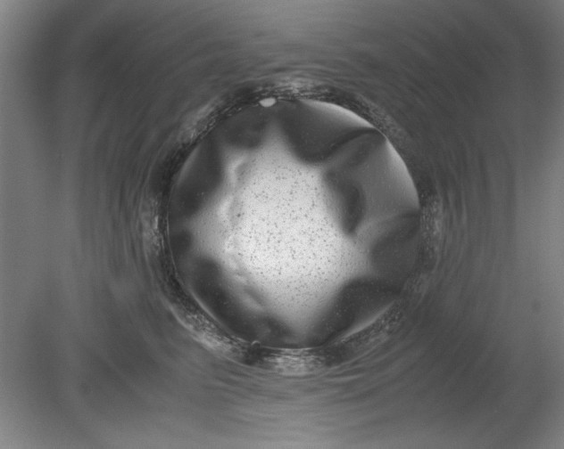 X0000080710615200701021030