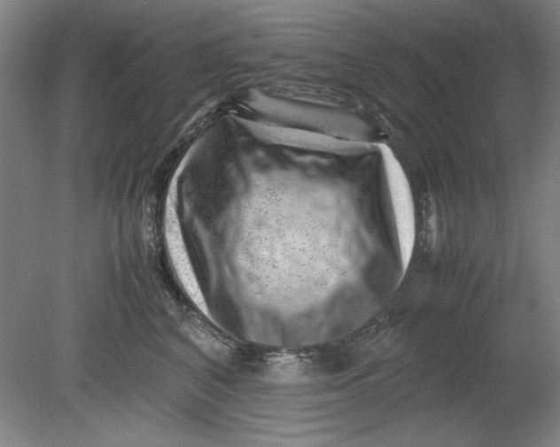 X0000080710616200701021030