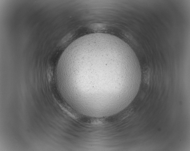 X0000080710618200701021030