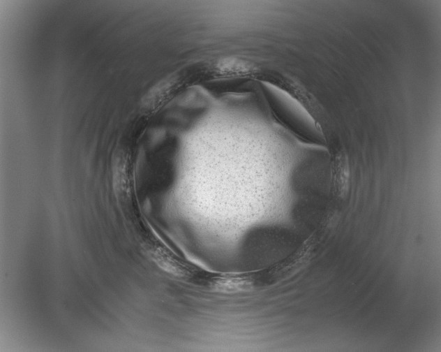 X0000080710619200701021030