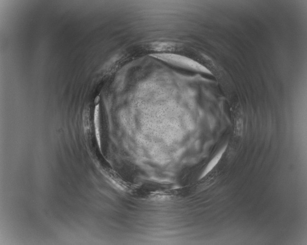 X0000080710620200701021030