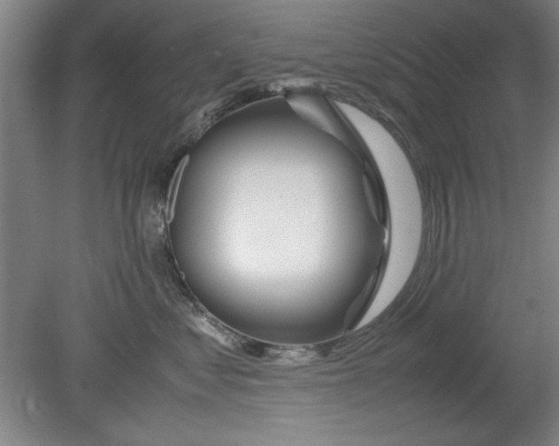 X0000080710621200701021030