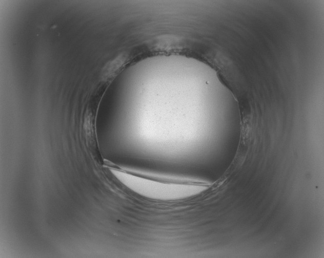 X0000080710623200701021030