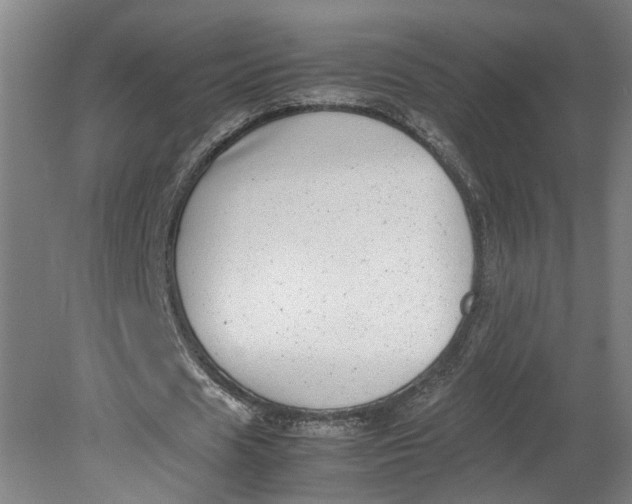 X0000080710625200701021029