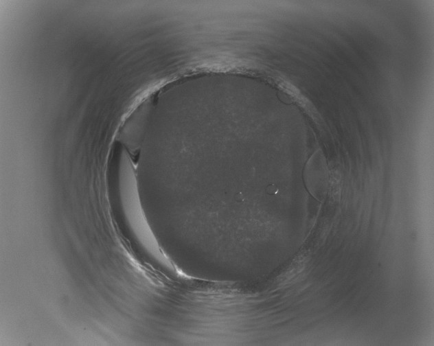 X0000080710626200701021029