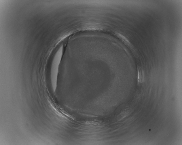 X0000080710627200701021029