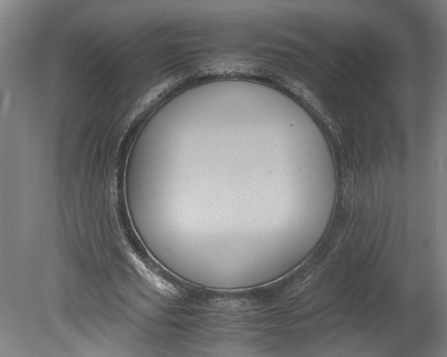 X0000080710629200701021029