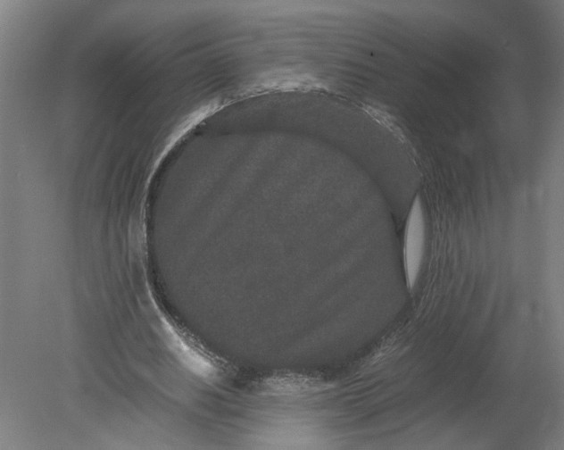 X0000080710630200701021029