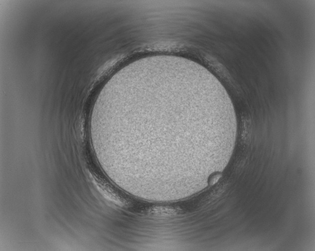 X0000080710636200701021029