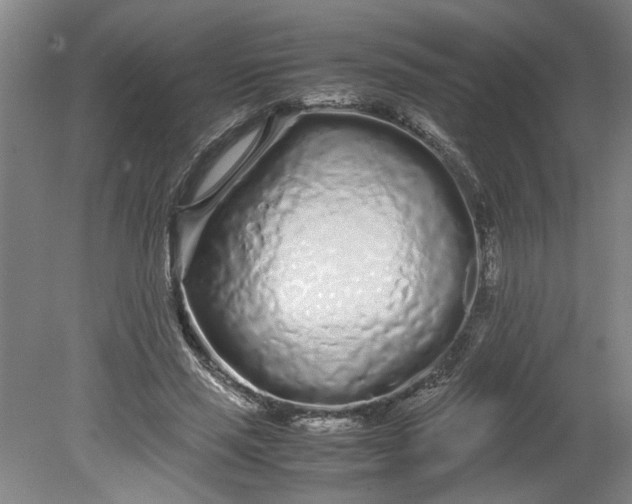 X0000080710637200701021029