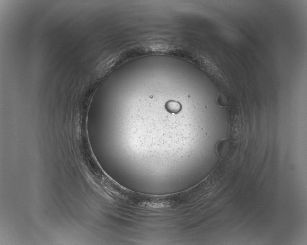 X0000080710639200701021029