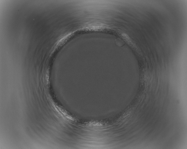 X0000080710640200701021029