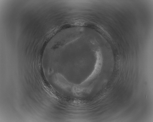 X0000080710641200701021029