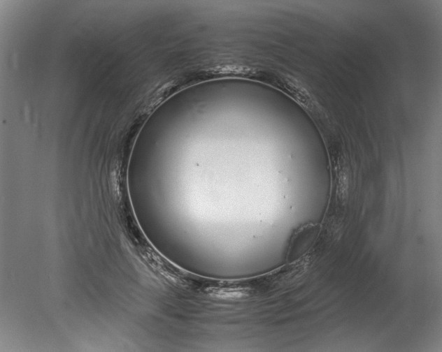 X0000080710643200701021029