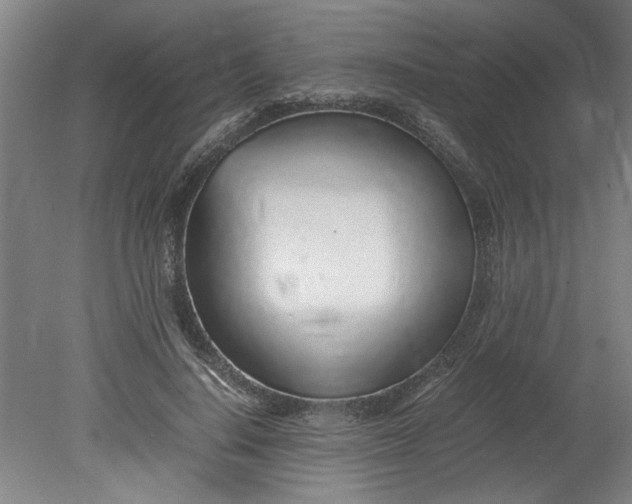 X0000080710644200701021029