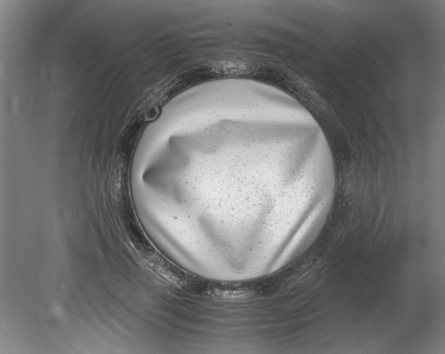 X0000080710645200701021029