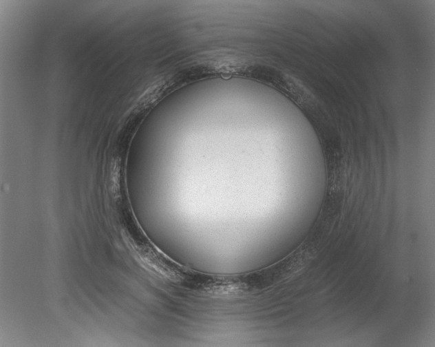 X0000080710646200701021029