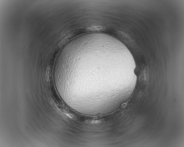 X0000080710647200701021029