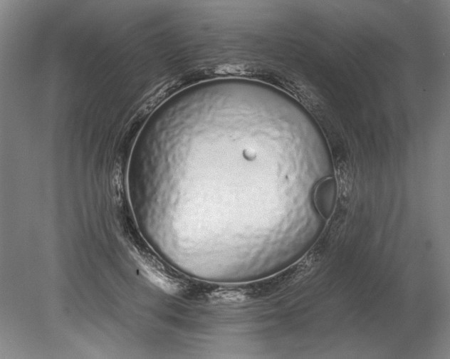 X0000080710648200701021029