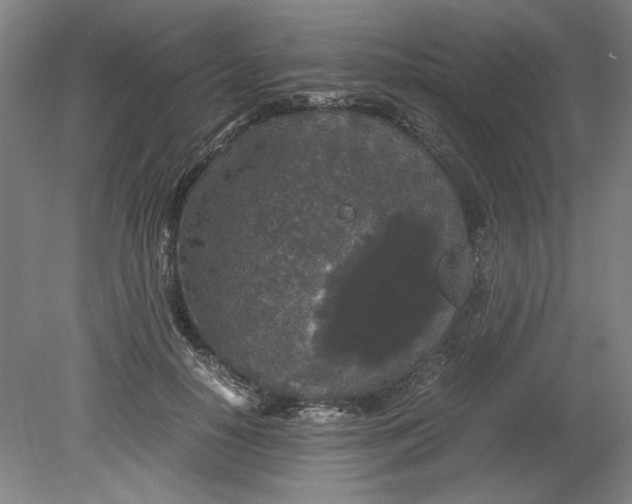 X0000080710650200701021029