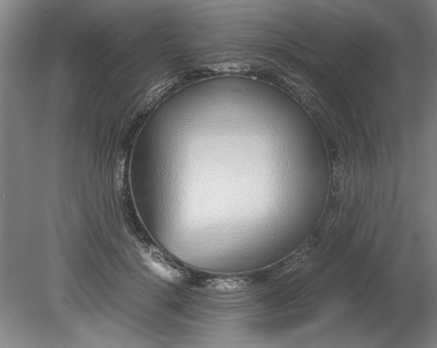 X0000080710652200701021029