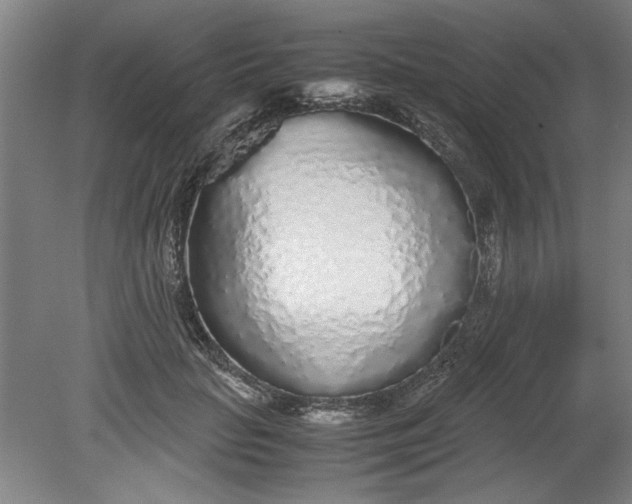 X0000080710653200701021029