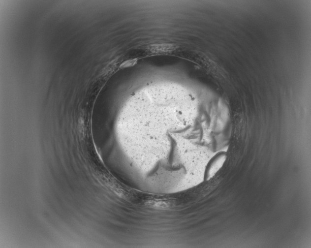 X0000080710655200701021029