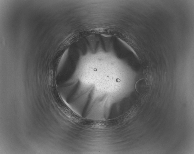 X0000080710656200701021029