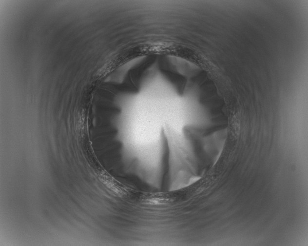 X0000080710657200701021029