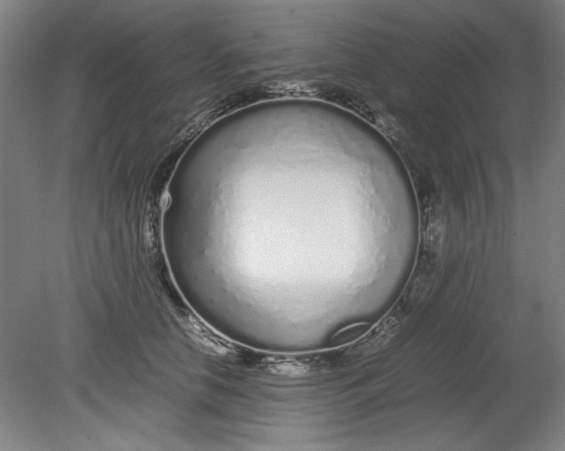 X0000080710658200701021029