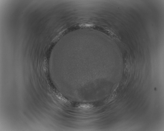 X0000080710659200701021030