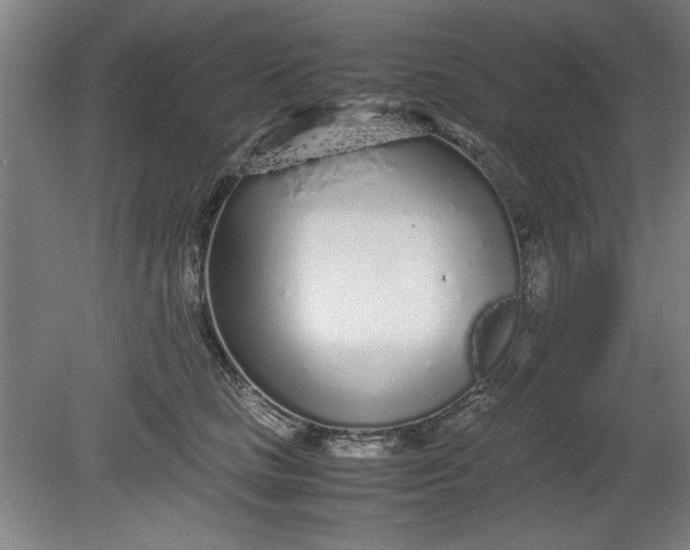 X0000080710661200701021030