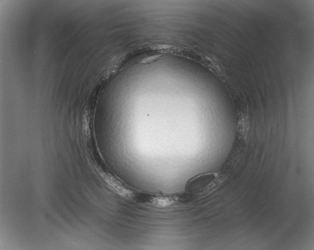 X0000080710662200701021030