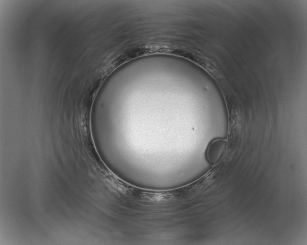 X0000080710663200701021030