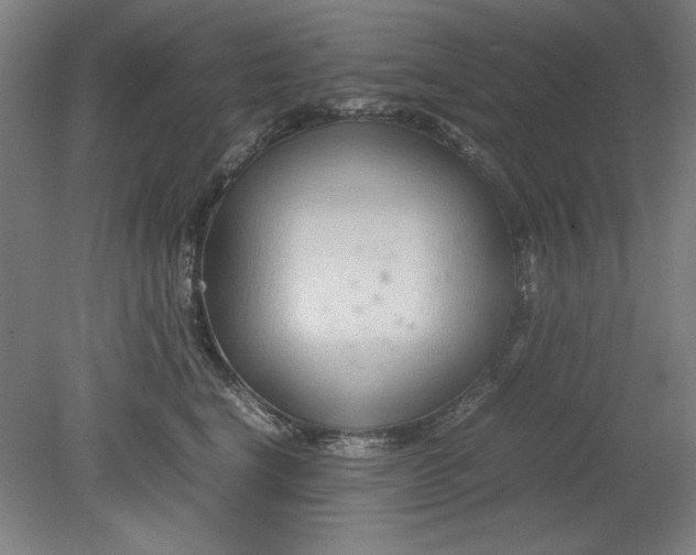 X0000080710664200701021030