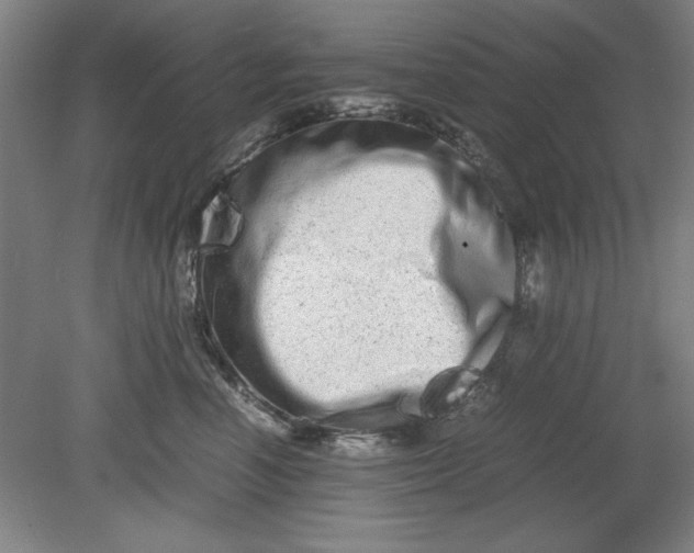 X0000080710666200701021030