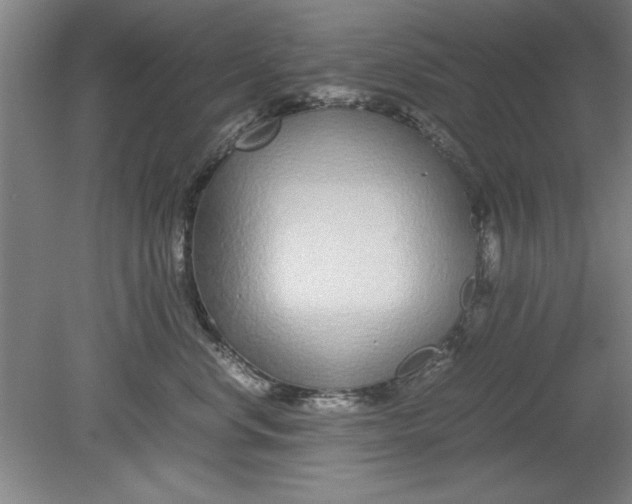 X0000080710668200701021030