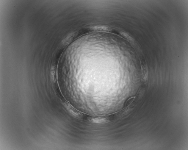 X0000080710669200701021030