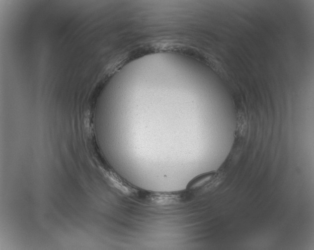 X0000080710670200701021030