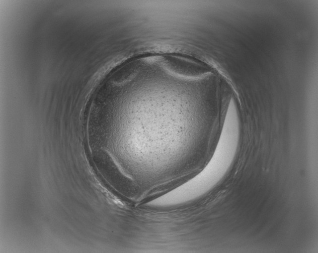 X0000080710673200701021029