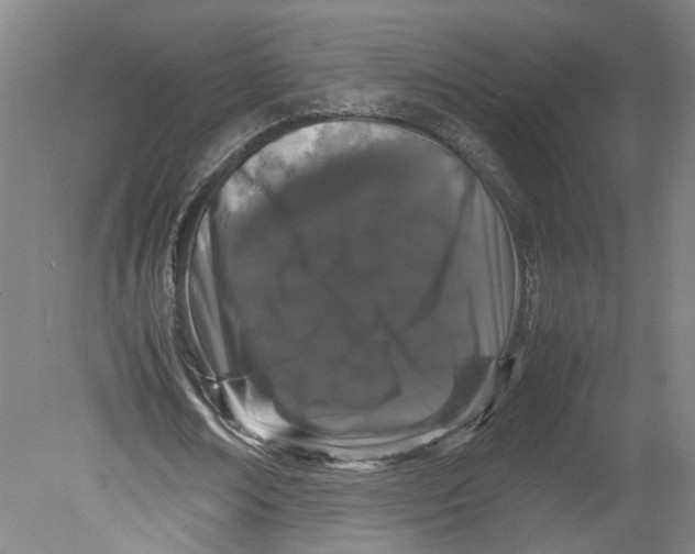 X0000080710674200701021029