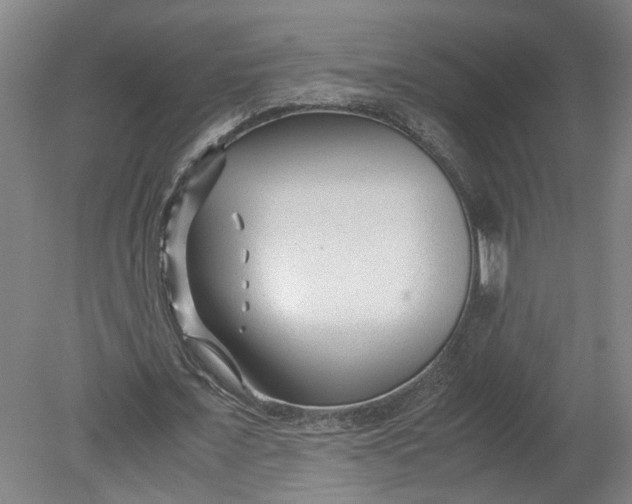 X0000080710675200701021029