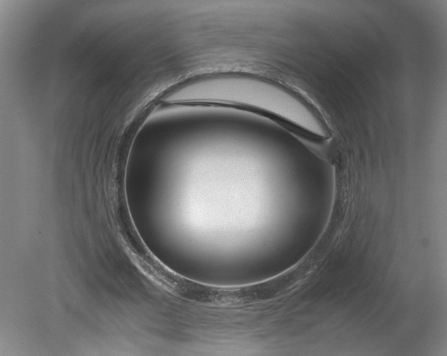 X0000080710677200701021029