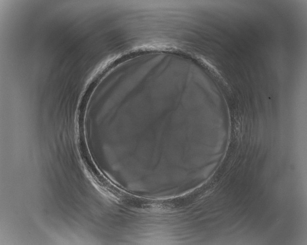 X0000080710678200701021029