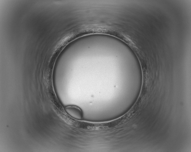 X0000080710679200701021029