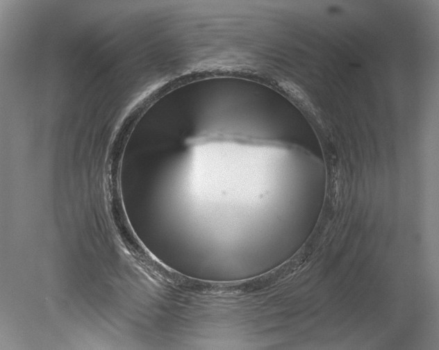 X0000080710680200701021029