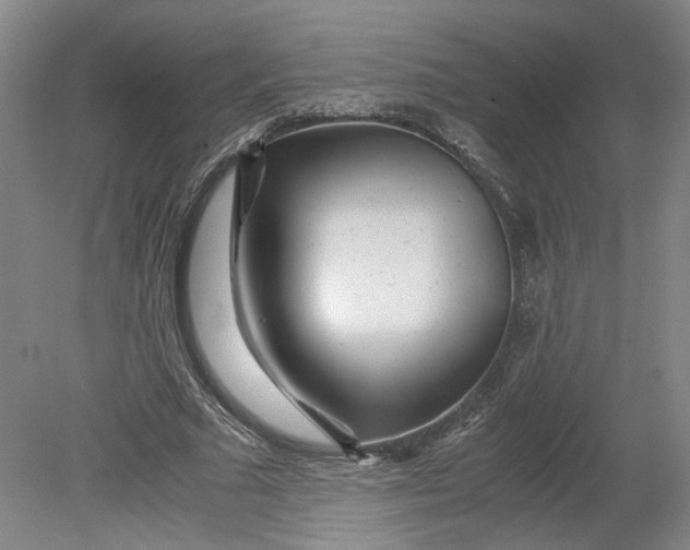 X0000080710681200701021029